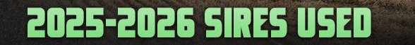 2023 Sires Used